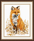 Beautiful Fox S979