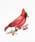 Cardinal SB1156 - Cross Stitch Kit - Hobby.lt