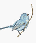 Bluebird SB1158 - Cross Stitch Kit - Hobby.lt