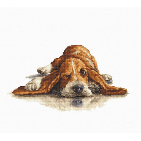 Basset SB2341 - Cross Stitch Kit - Hobby.lt