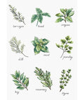 Spices and Herbs SB2345 - Cross Stitch Kit