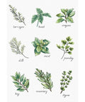 Spices and Herbs SB2345 - Cross Stitch Kit