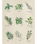 Spices and Herbs SB2346 - Cross Stitch Kit
