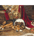 A Reluctant Playmate SB585 - Cross Stitch Kit