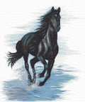 Black Horse SBM3007 - Cross Stitch Kit by Luca-s