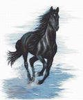 Black Horse SBM3007 - Cross Stitch Kit by Luca-s