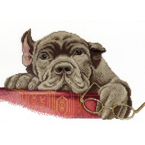 Cross Stitch Kit Sherlock SNV-538