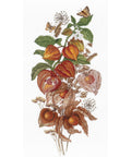 Emerald Berry SNV-614 cross stitch kit by MP Studio