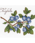 Blueberries SNV-617 cross stitch kit by MP Studio