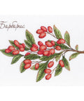 Barberry SNV-619 cross stitch kit by MP Studio