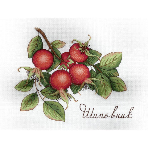 Dogrose SNV-630 cross stitch kit by MP Studio