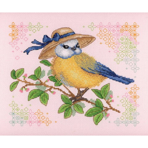 Robin SNV-646 cross stitch kit by MP Studio