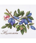 Honeysuckle SNV-648 cross stitch kit by MP Studio