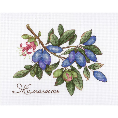 Honeysuckle SNV-648 cross stitch kit by MP Studio