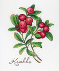 Cranberry SNV-649 cross stitch kit by MP Studio
