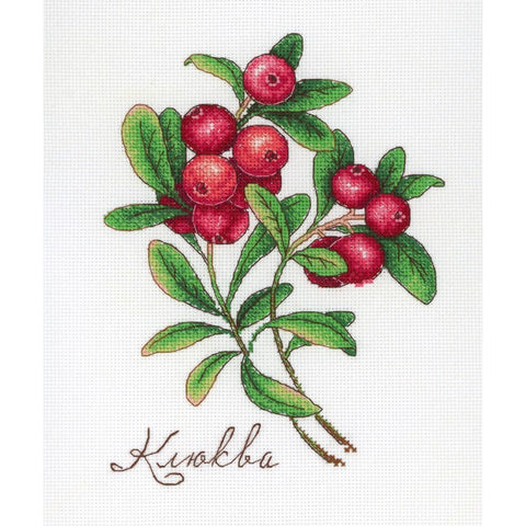 Cranberry SNV-649 cross stitch kit by MP Studio