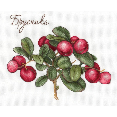 SNV-650 cross stitch kit by MP Studio