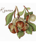 Cross Stitch Kit Nature Gifts Chestnut SNV-672