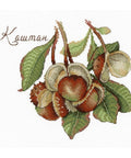 Cross Stitch Kit Nature Gifts Chestnut SNV-672