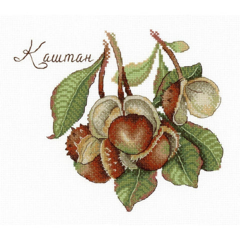 Cross Stitch Kit Nature Gifts Chestnut SNV-672