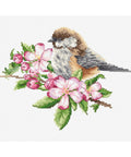 Luca-S Titmouse on Branch