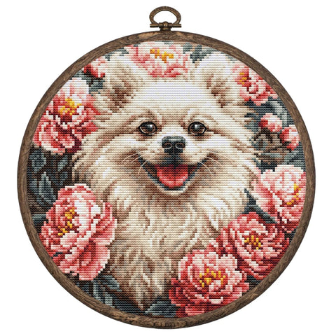 Luca-S Spitze Cross Stitch Kit