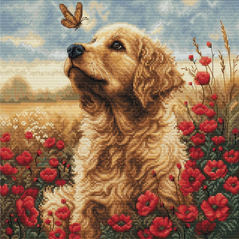 Luca-S Blooming Field Meeting Kit