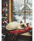 Luca-S The Winter Sleep Kit