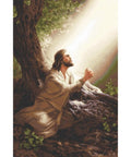 Luca-S Jesus Christ Portrait Cross Stitch Kit 22x33cm