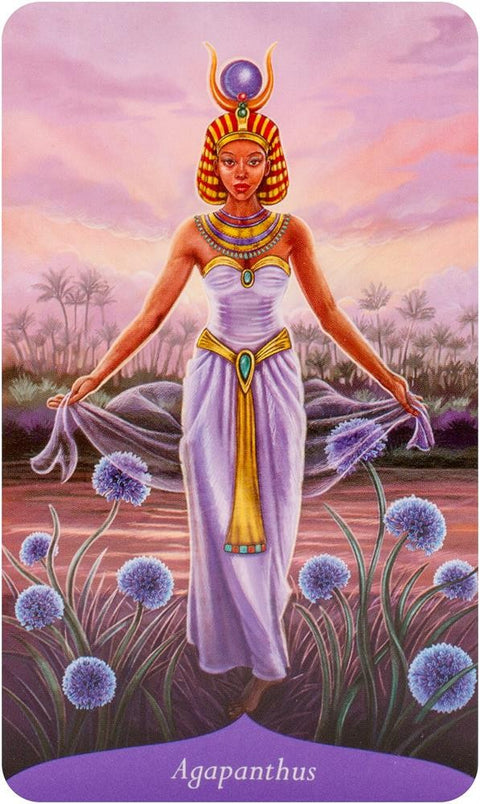 Magic Of Flowers Oracle Cards Llewellyn