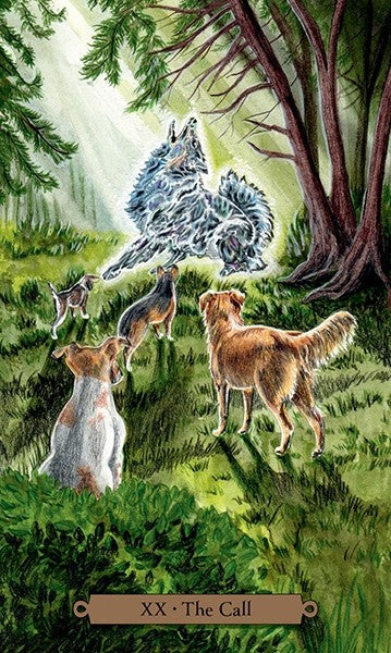 Magical Dogs Tarot cards Llewellyn