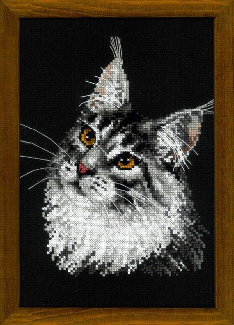 Maine Coon - Cross Stitch Kit from RIOLIS Ref. no.:1599