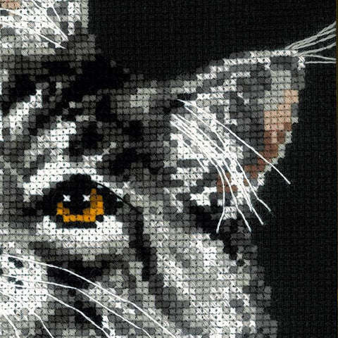 Maine Coon - Cross Stitch Kit from RIOLIS Ref. no.:1599