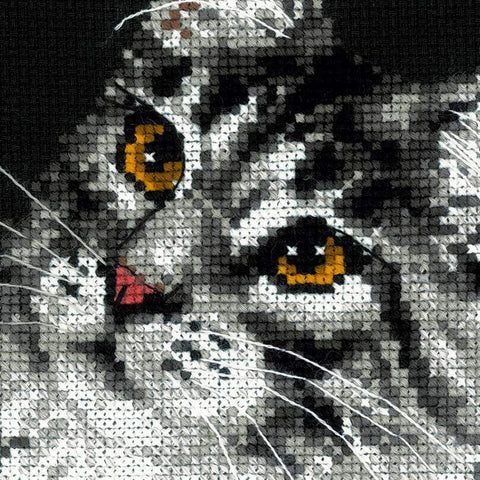 Maine Coon - Cross Stitch Kit from RIOLIS Ref. no.:1599