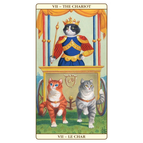 Marseille Cat Tarot cards Lo Scarabeo