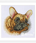 Merejka cross stitch kit SK114