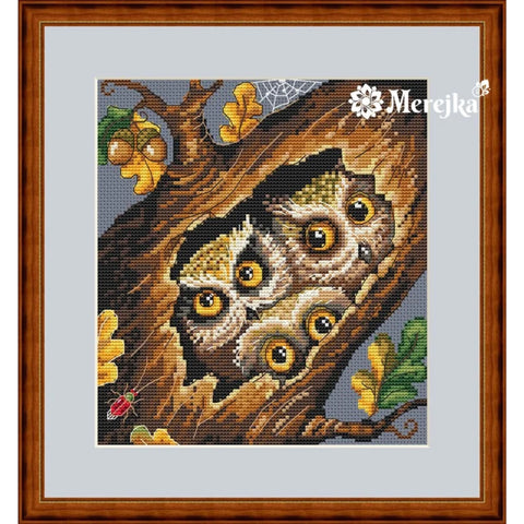Owls SK32 cross stitch kit by Merejka