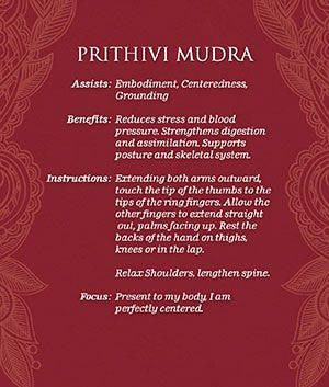 Mudras for Awakening the Energy Body deck and book set US Games Systems