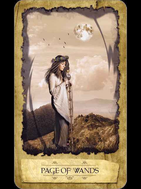 Mystic Dreamer Tarot Cards Llewellyn