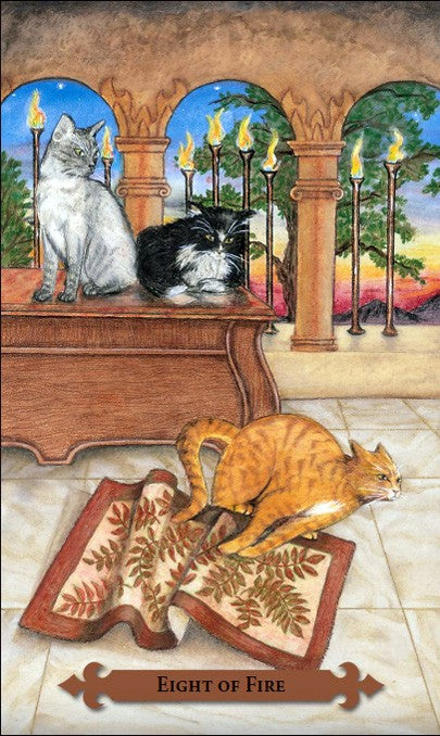 Magical Cats Tarot cards Llewellyn