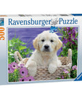Puzzle 500 Sweet Golden Retriever