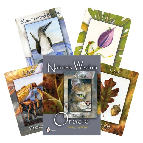 Natures Wisdom Oracle Tarot Cards Schiffer Publishing