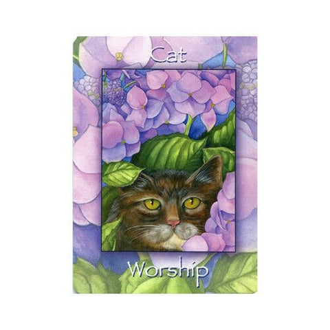 Natures Wisdom Oracle Tarot Cards Schiffer Publishing