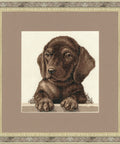 Dachshund NL041 - Hobby.lt