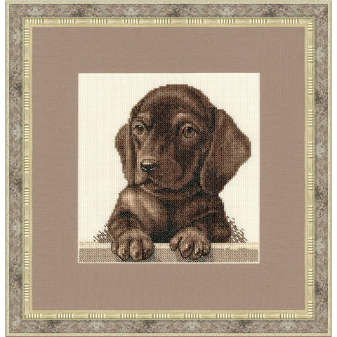 Dachshund NL041 - Hobby.lt