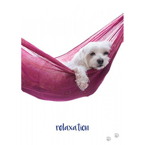 Inspirational cards Dog Wisdom Blue Angel