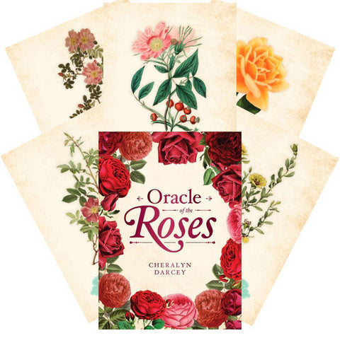 Oracle Of The Roses Cards Rockpool