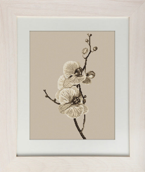 Orchid SB291 - Cross Stitch Kit by Luca-s