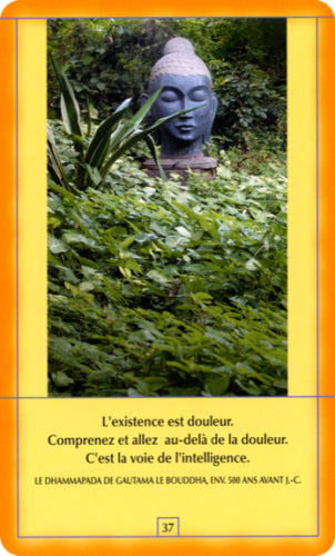 Osho Decouvrez Bouddha French Edition Cards AGM