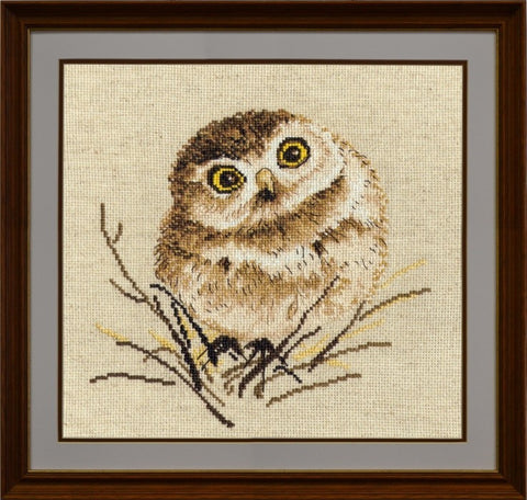 Owl S751